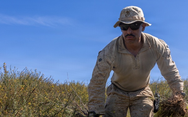 U.S. Marines and Allies Undergo a Cover and Concealment Training Event