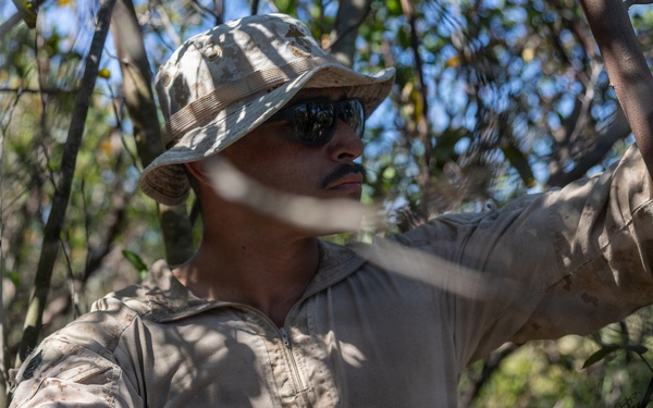 U.S. Marines and Allies Undergo a Cover and Concealment Training Event