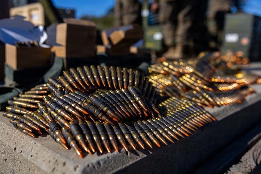 U.S. Marines and Allies Conduct a Light Armored Vehicle Live-Fire Range