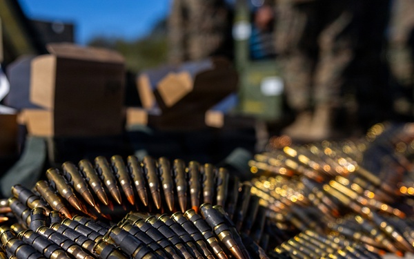 U.S. Marines and Allies Conduct a Light Armored Vehicle Live-Fire Range