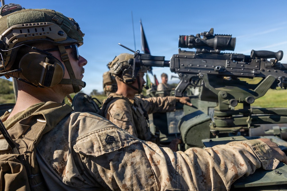 U.S. Marines and Allies Conduct a Light Armored Vehicle Live-Fire Range