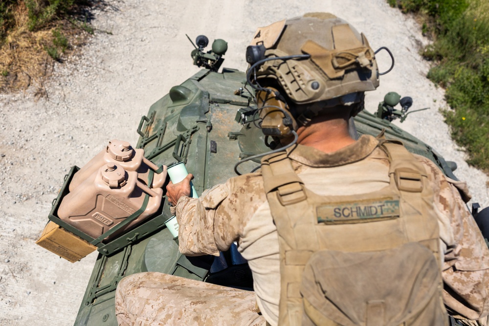 U.S. Marines and Allies Conduct a Light Armored Vehicle Live-Fire Range
