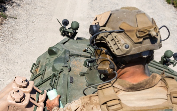 U.S. Marines and Allies Conduct a Light Armored Vehicle Live-Fire Range