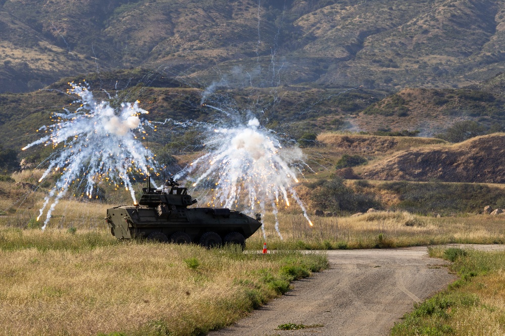 U.S. Marines and Allies Conduct a Light Armored Vehicle Live-Fire Range
