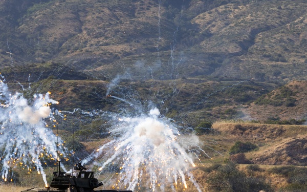 U.S. Marines and Allies Conduct a Light Armored Vehicle Live-Fire Range