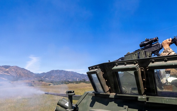 U.S. Marines and Allies Conduct a Light Armored Vehicle Live-Fire Range