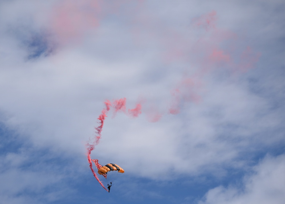 Wings Over Meridian 2026