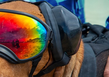 Vision and Hearing Protection