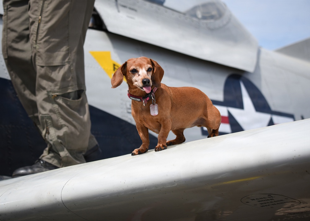 Wings Over Meridian 2026