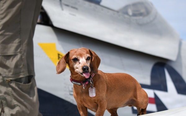 Wings Over Meridian 2026