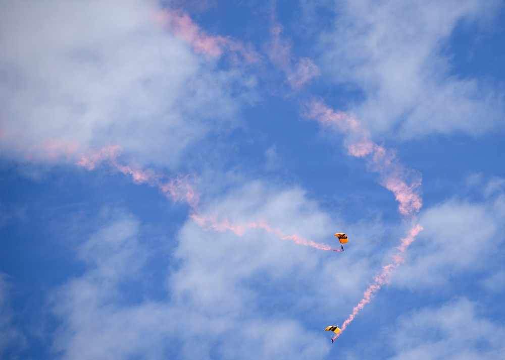 Wings Over Meridian 2026
