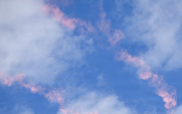 Wings Over Meridian 2026