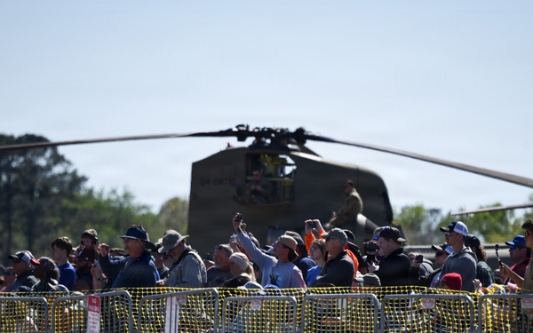 Wings Over Meridian 2026