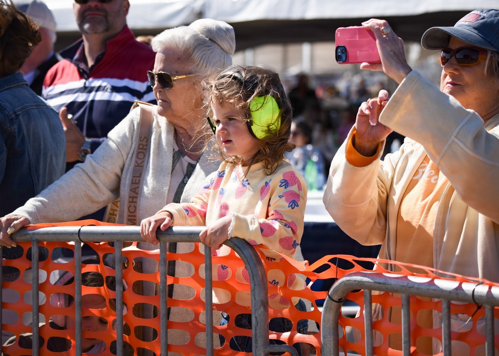 Wings Over Meridian 2026