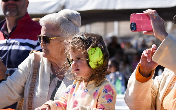 Wings Over Meridian 2026