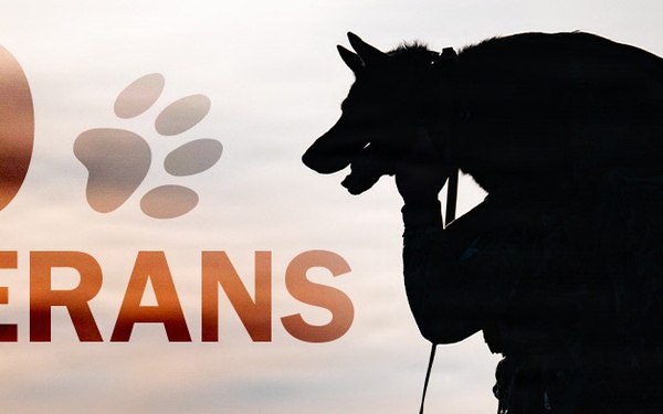 K9 Veterans Day