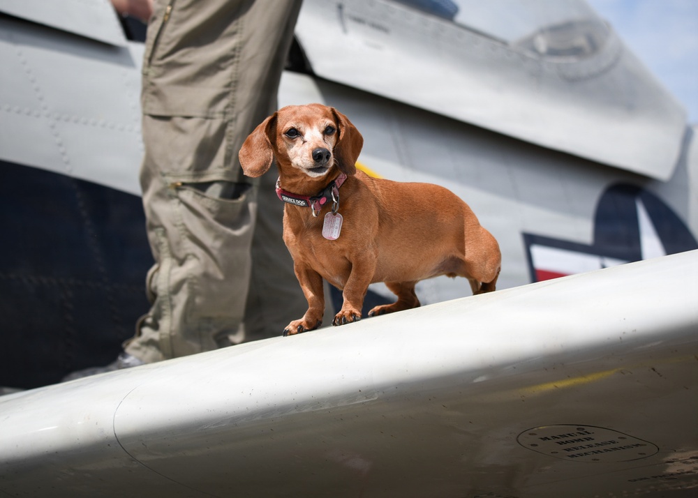 Wings Over Meridian 2026