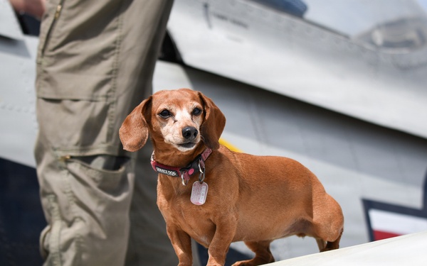 Wings Over Meridian 2026