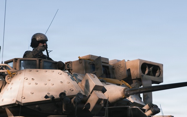 U.S. Soldiers operate Bradley Fighting Vehicle during combined training in Estonia