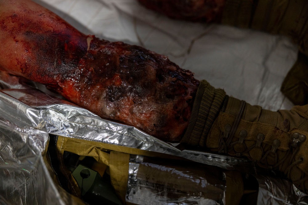 2nd Medical Battalion Certification Exercise