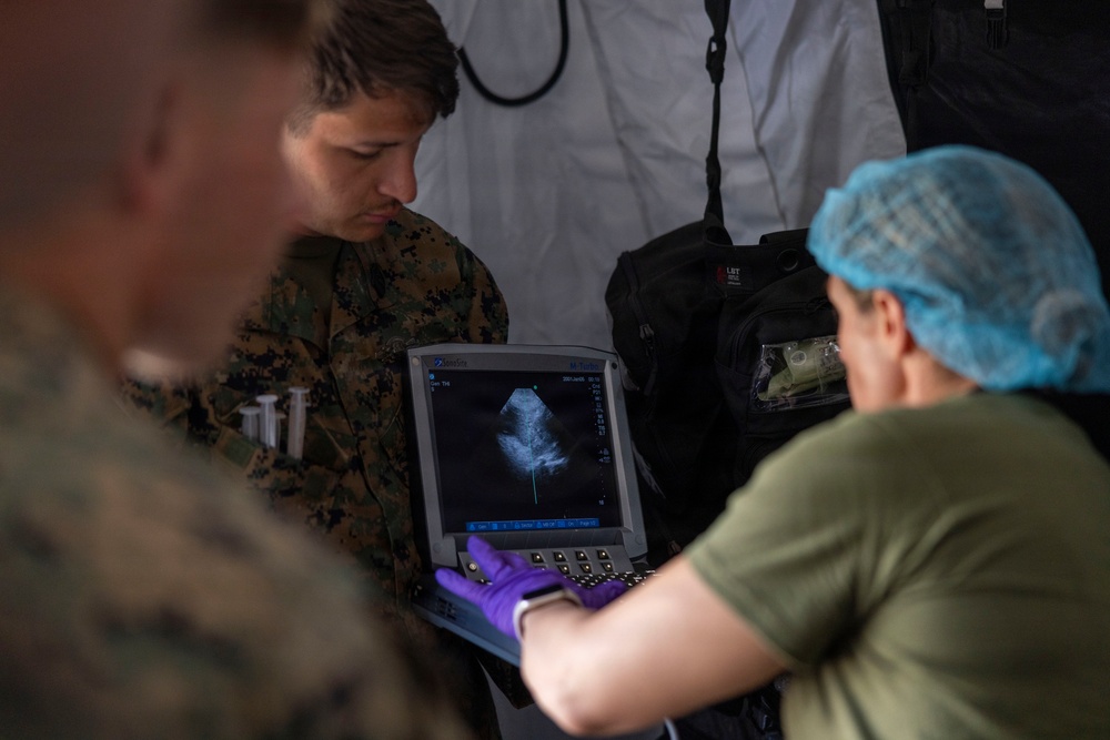 2nd Medical Battalion Certification Exercise