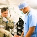 11th Field Hospital Soldiers hold collective training exercise at McCoy’s RTS-Medical