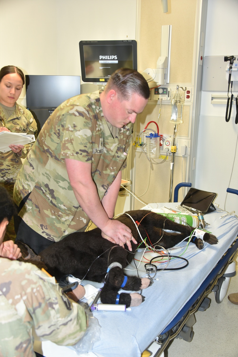 One Team, One Medicine: Defying the Storm to Save K-9 Lives