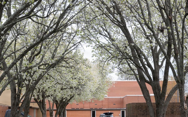 Joint Base Andrews hosts Honor Guard Graduation