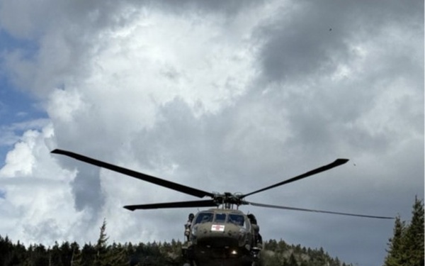 Tennessee Guardsmen rescue visitor in National Park