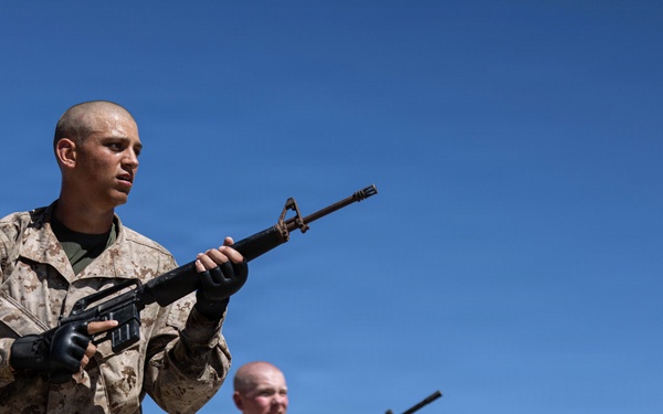 Golf Company Confidence Course