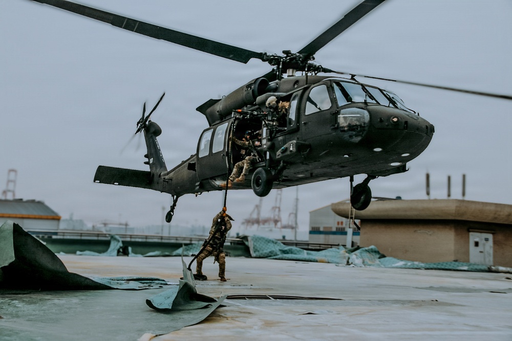 2-2 AHB Conducts Combined Air Assault Training