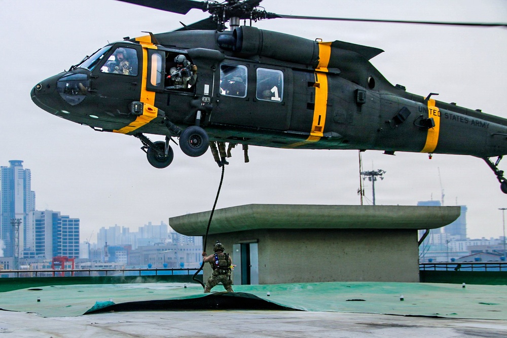 2-2 AHB Conducts Combined Air Assault Training