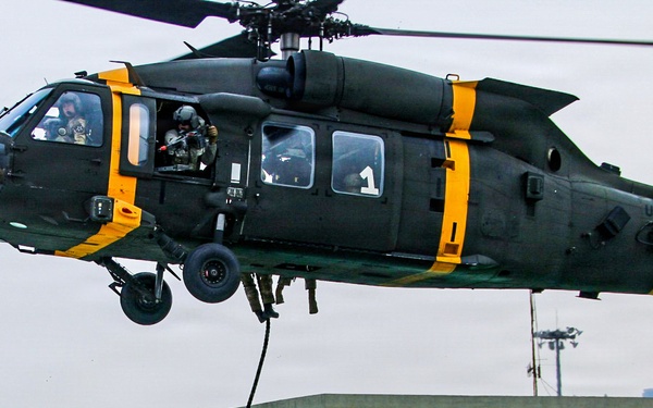 2-2 AHB Conducts Combined Air Assault Training