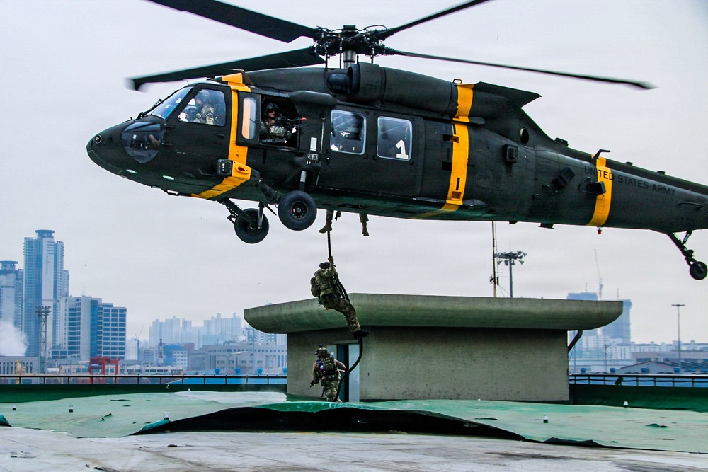 2-2 AHB Conducts Combined Air Assault Training