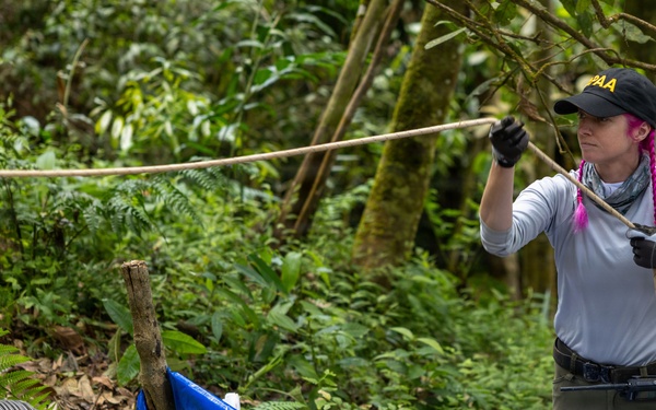 26-3LA RT4 Unit Excavation