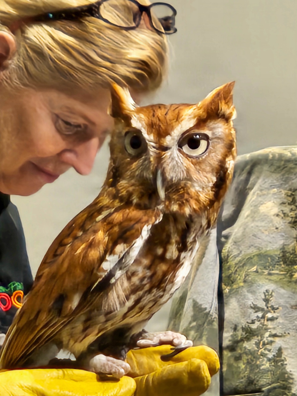 Eagle Days soars on, bringing generations together at Missouri’s largest reservoir