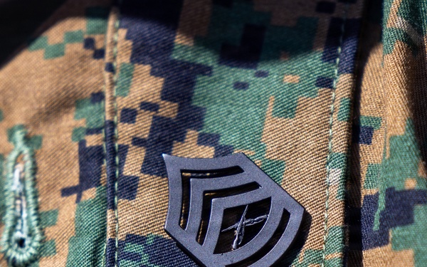 Gunnery Sgt. Philips Meritorious Promotion