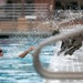 Airmen Swim in Uniform During German Armed Forces Proficiency Badge Assessment
