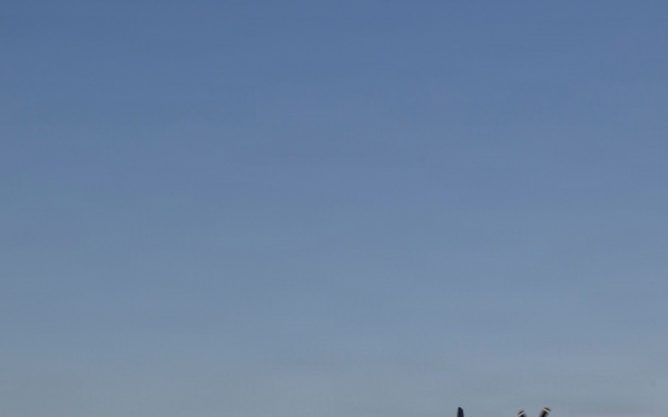 WTI 2-26: Tactics II