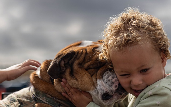 Marine Corps Recruit Depot San Diego Library Touch-a-Truck