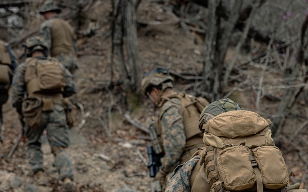 U.S. Marines Rehearse Dry Fire Squad Attacks During KMEP 26.1