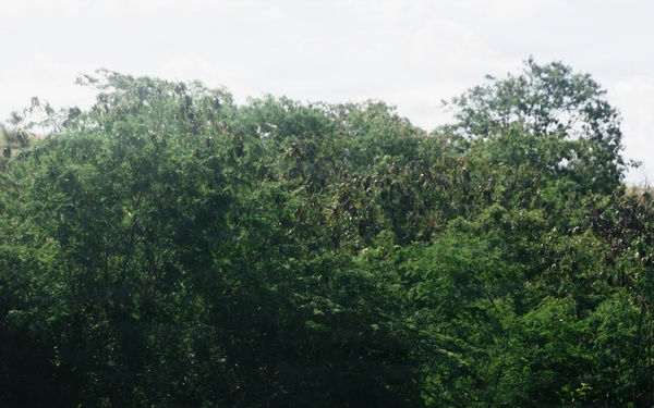 22nd MEU (SOC) | LAV-Mounted Mortar Live-Fire