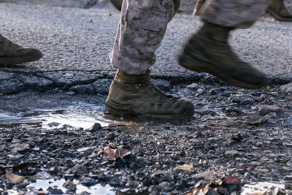22nd MEU (SOC) | Golf Battery Conducts Hike at Camp Santiago
