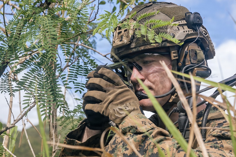 22nd MEU (SOC) | LAR Conducts Maneuver and Patrol Training at Camp Santiago