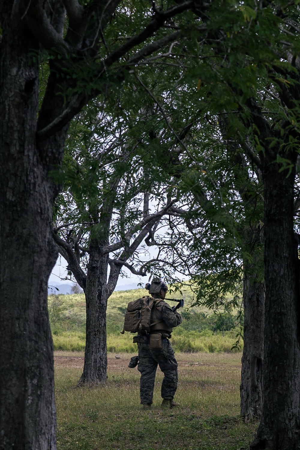 22nd MEU (SOC) | LAR Conducts Maneuver and Patrol Training at Camp Santiago