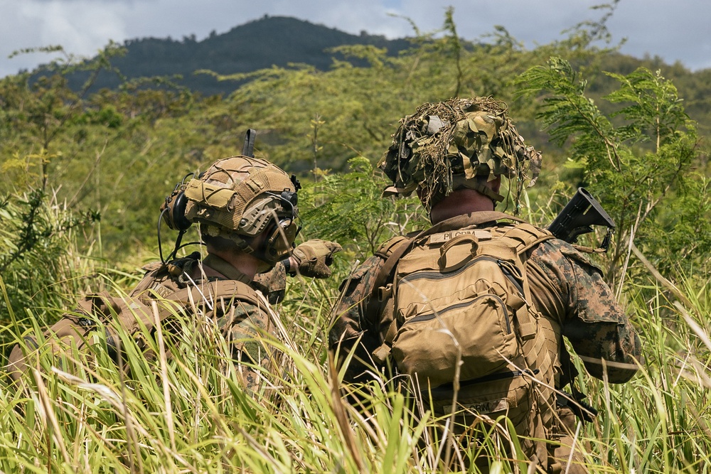 22nd MEU (SOC) | LAR Conducts Maneuver and Patrol Training at Camp Santiago
