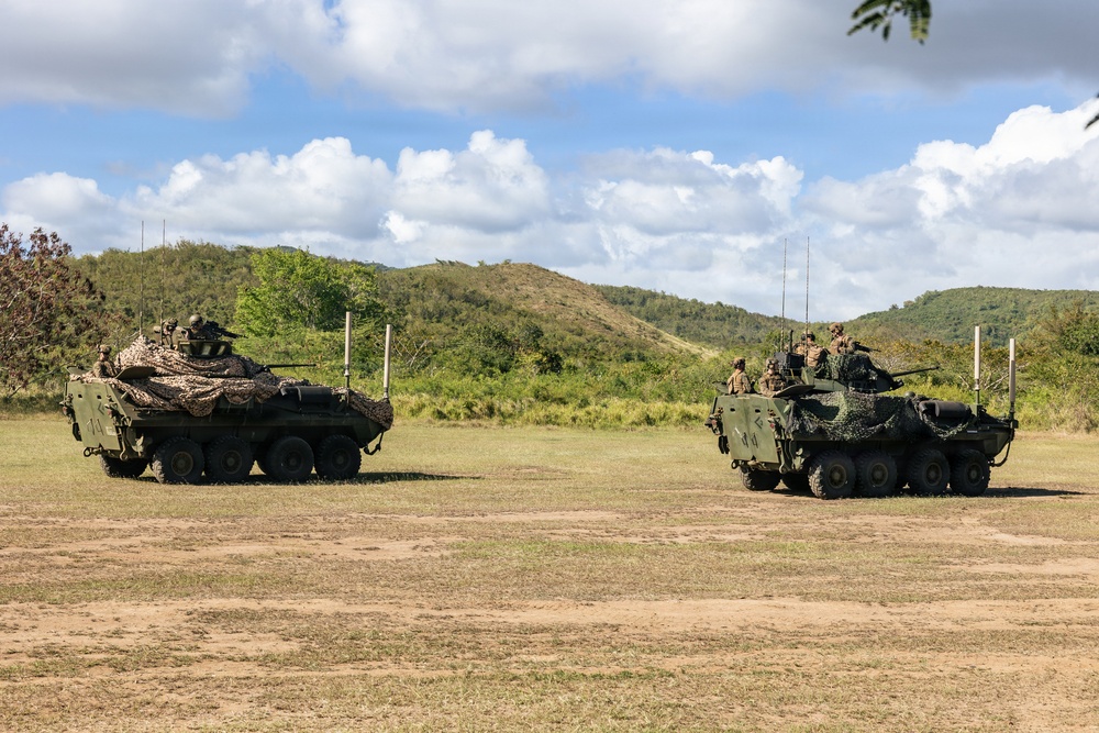 22nd MEU (SOC) | LAR Conducts Maneuver and Patrol Training at Camp Santiago