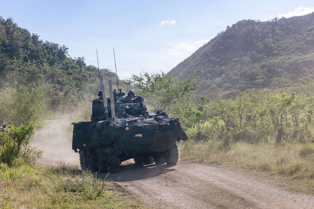 22nd MEU (SOC) | LAR Conducts Maneuver and Patrol Training at Camp Santiago
