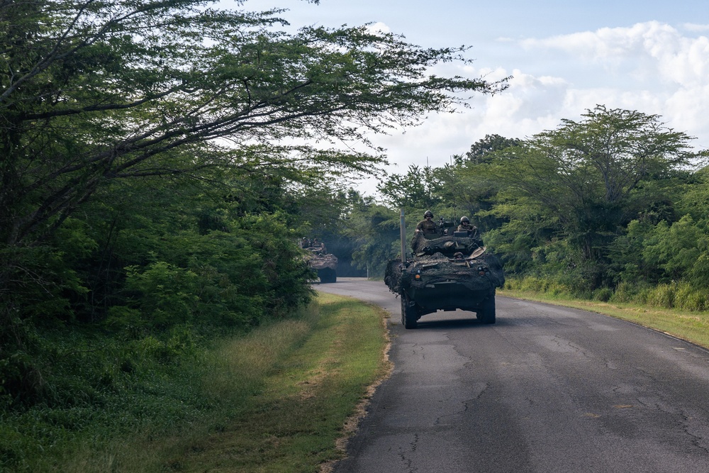 22nd MEU (SOC) | LAR Conducts Maneuver and Patrol Training at Camp Santiago