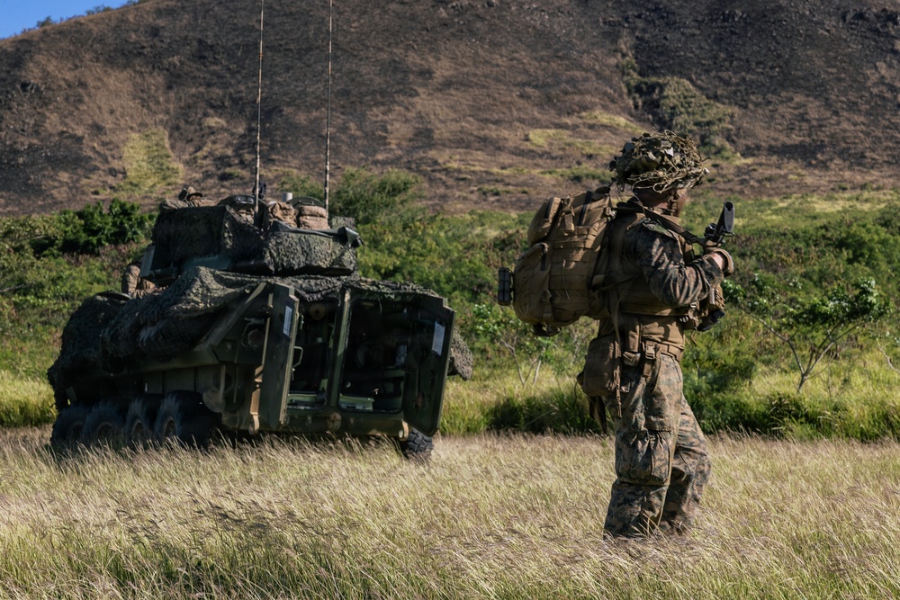 22nd MEU (SOC) | LAR Conducts Maneuver and Patrol Training at Camp Santiago